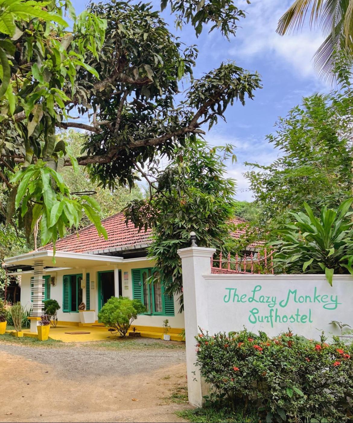 Lazy Monkey Surfhostel - Sri Lanka Діквелла Екстер'єр фото