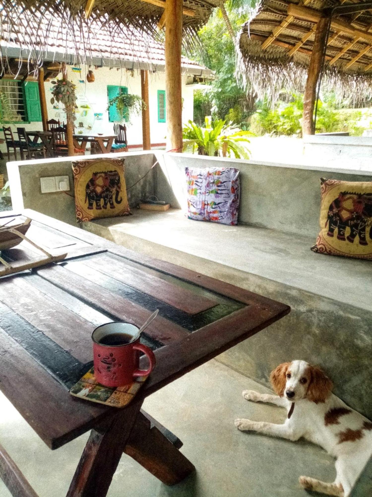 Lazy Monkey Surfhostel - Sri Lanka Діквелла Екстер'єр фото