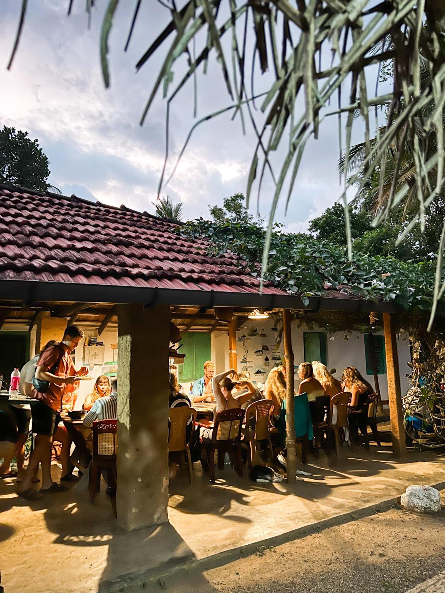 Lazy Monkey Surfhostel - Sri Lanka Діквелла Екстер'єр фото