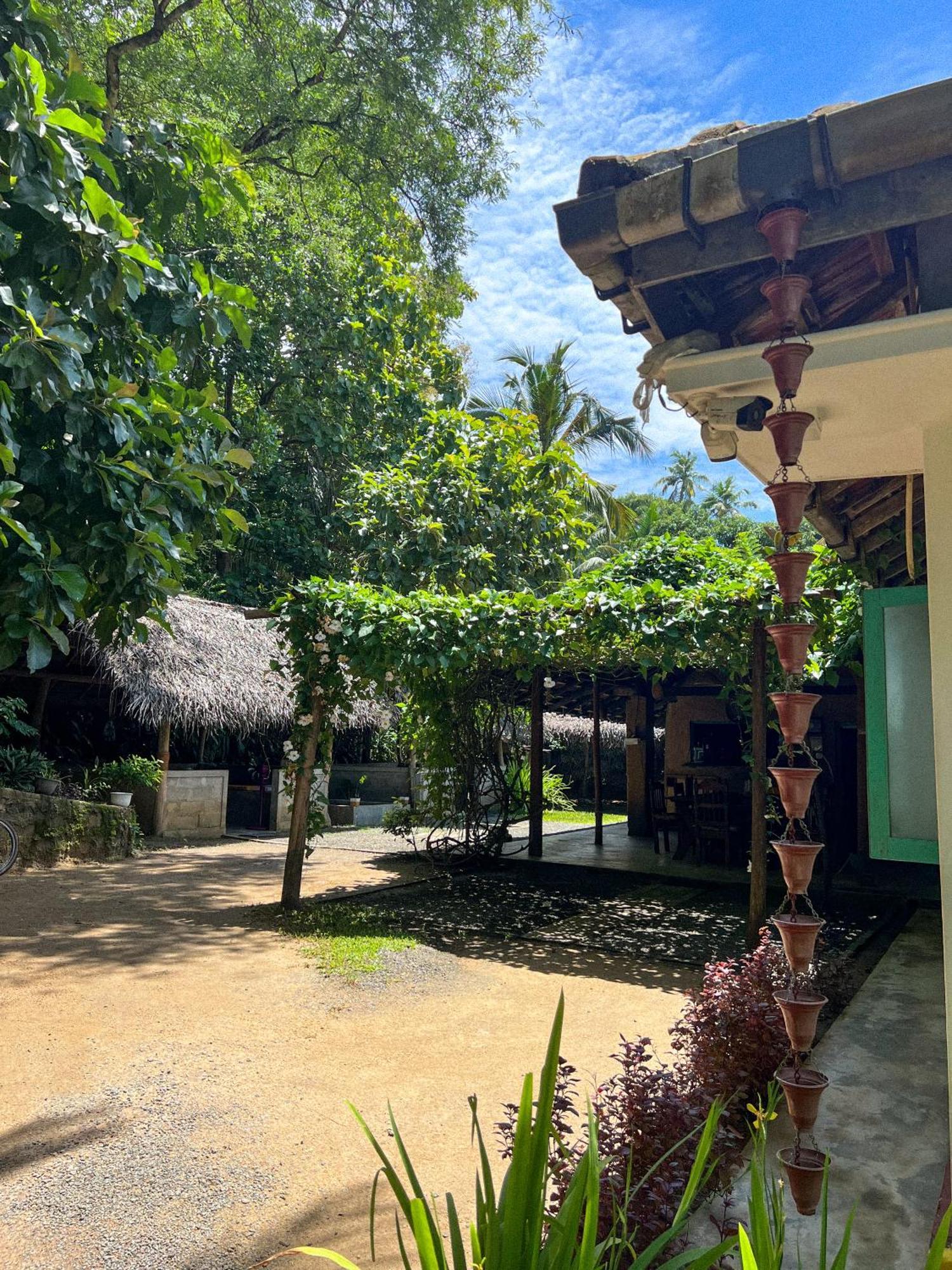 Lazy Monkey Surfhostel - Sri Lanka Діквелла Екстер'єр фото