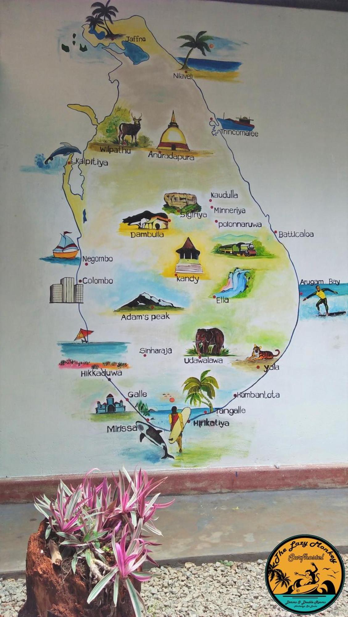 Lazy Monkey Surfhostel - Sri Lanka Діквелла Екстер'єр фото