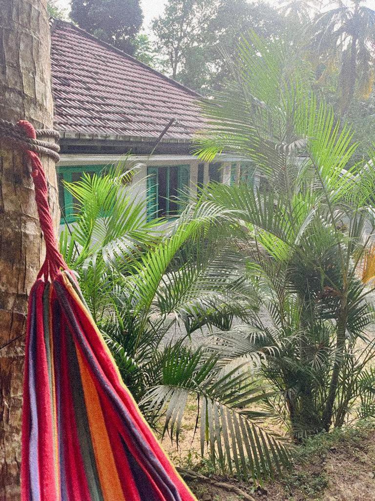 Lazy Monkey Surfhostel - Sri Lanka Діквелла Екстер'єр фото