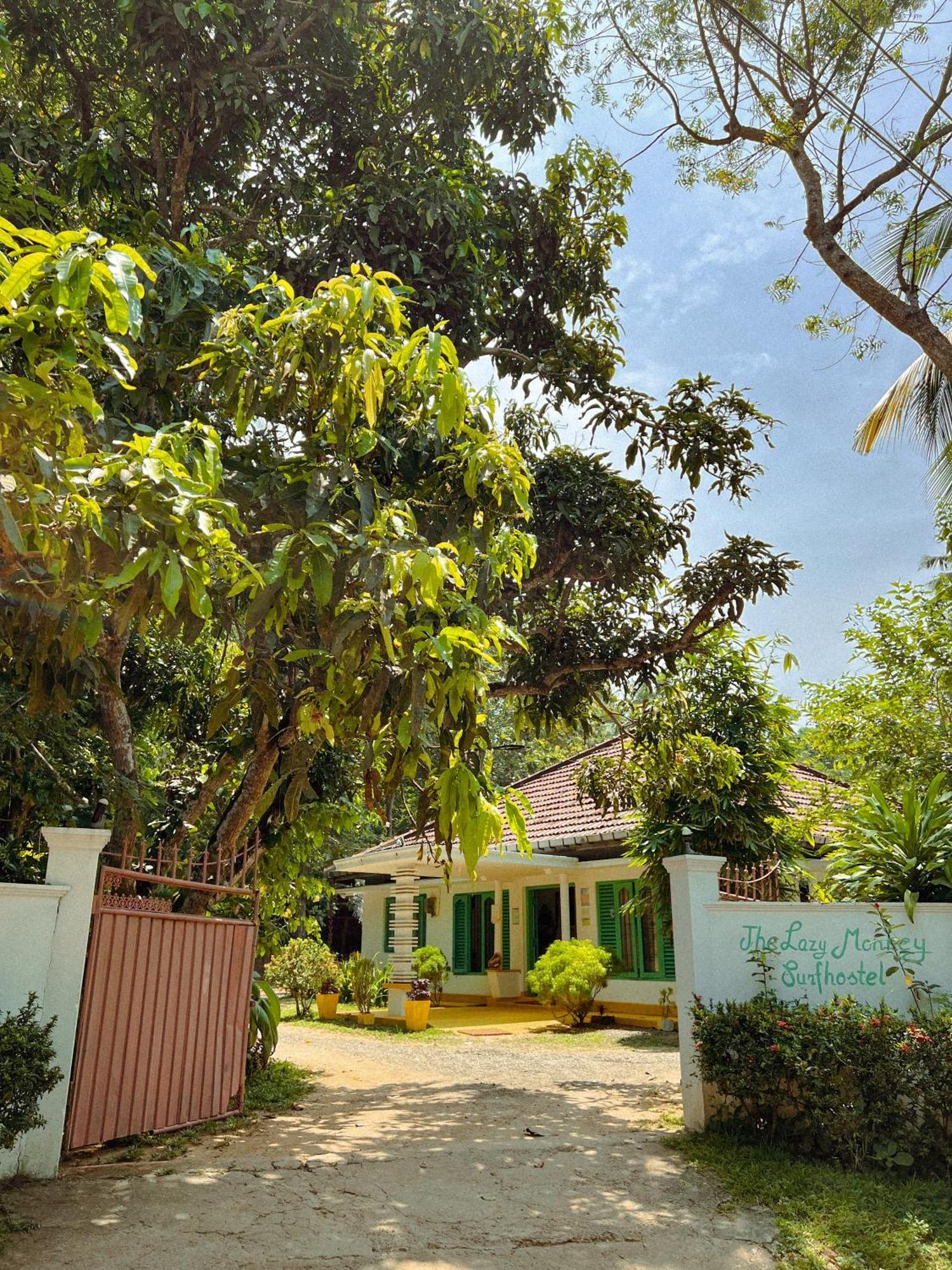 Lazy Monkey Surfhostel - Sri Lanka Діквелла Екстер'єр фото