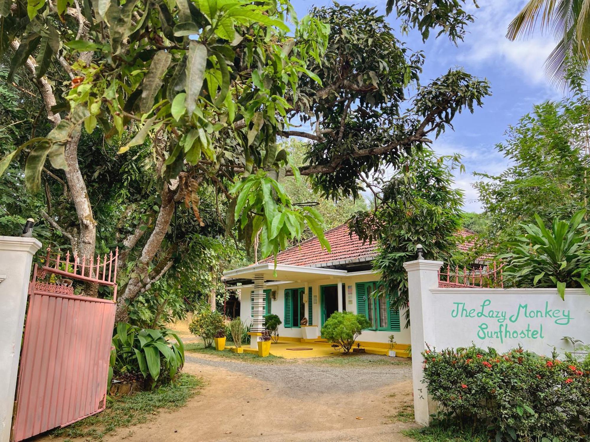 Lazy Monkey Surfhostel - Sri Lanka Діквелла Екстер'єр фото
