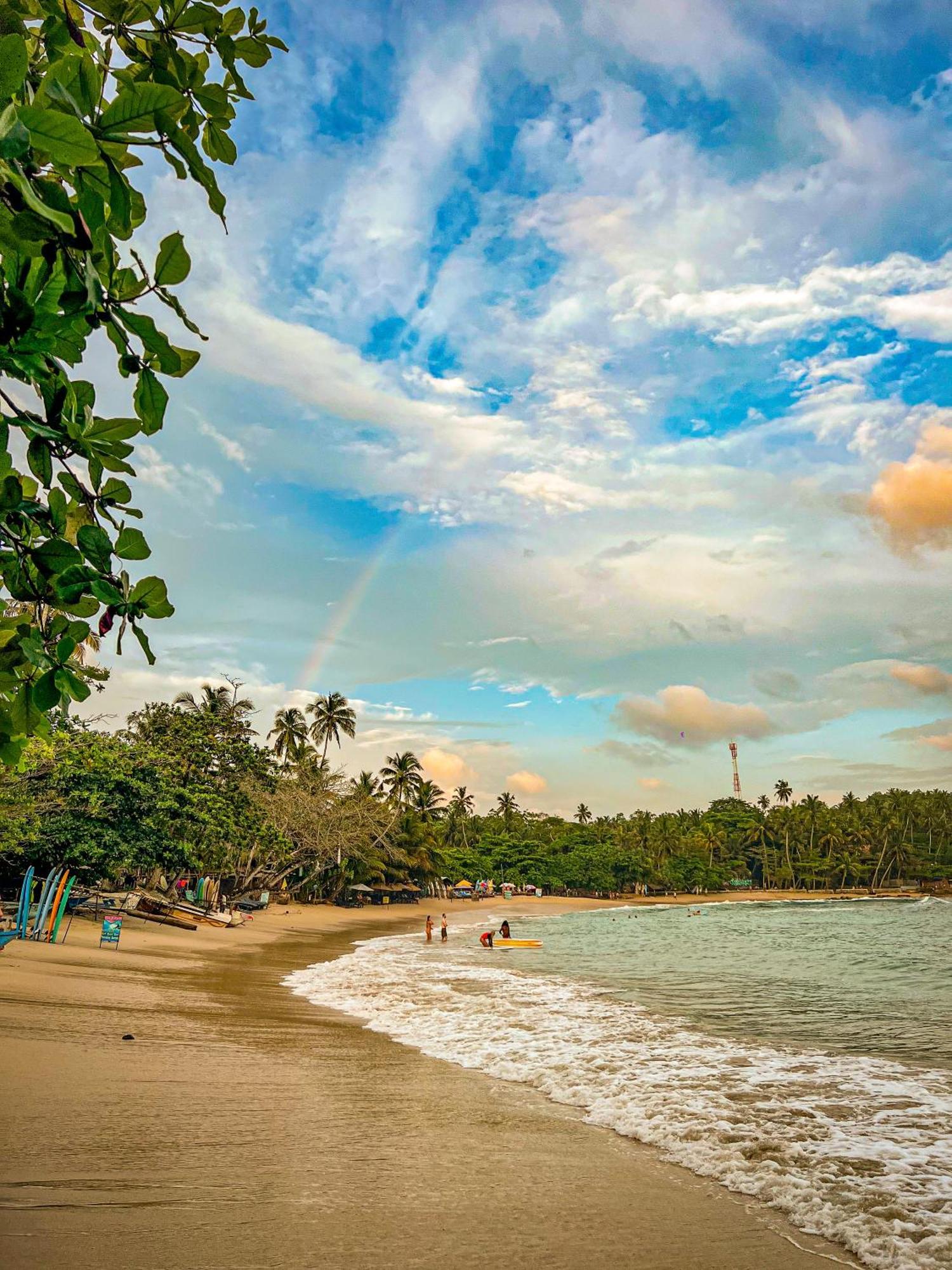Lazy Monkey Surfhostel - Sri Lanka Діквелла Екстер'єр фото